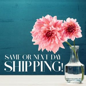 SAME OR NEXT DAY SHIPPING!